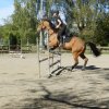 Babie Lato z Hucułami 2015